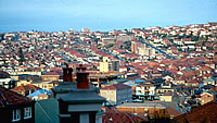 Bondi on hte Horizon